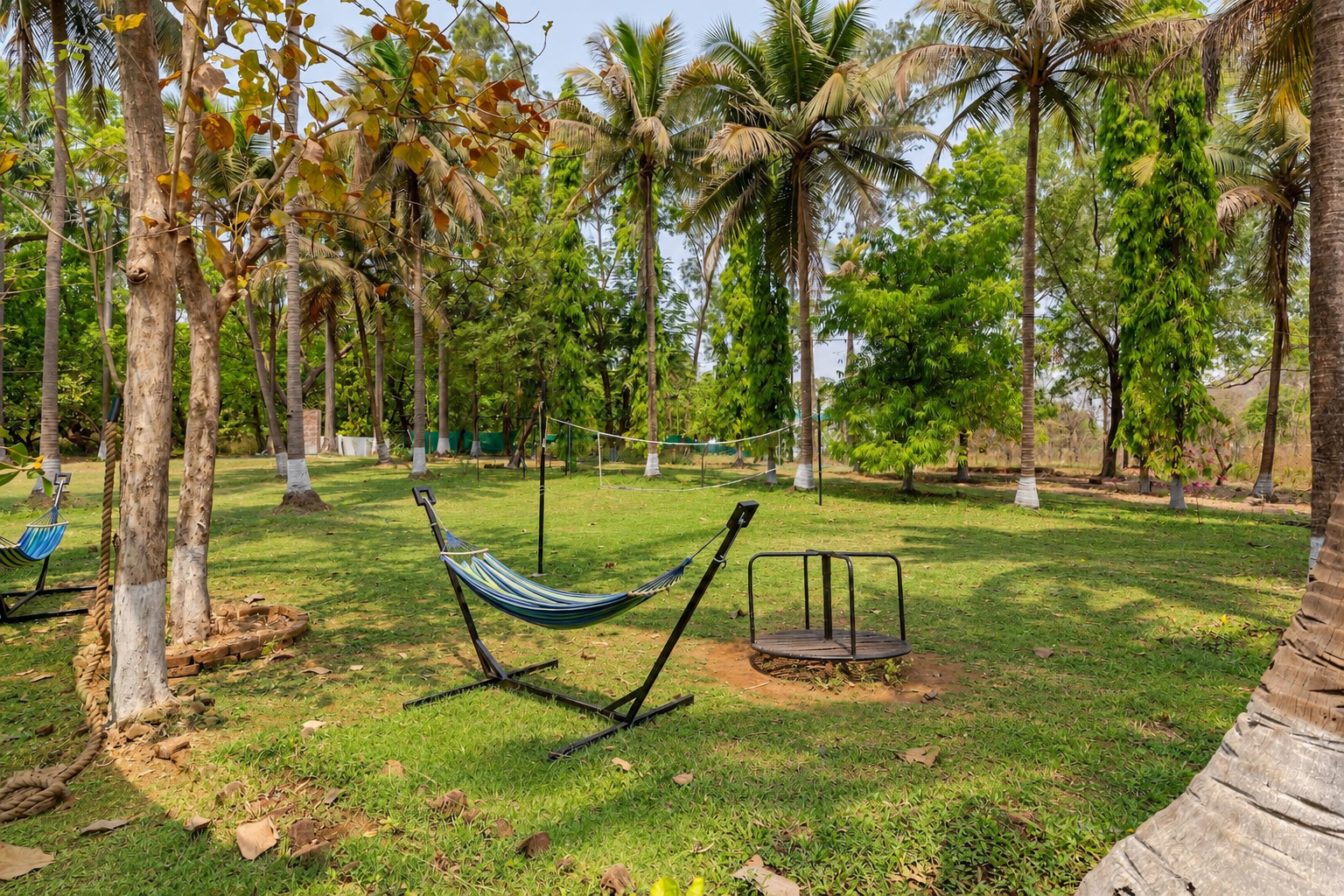 Grassy play area with hammocks, a badminton net and a children's merry-go-round under tall palm trees